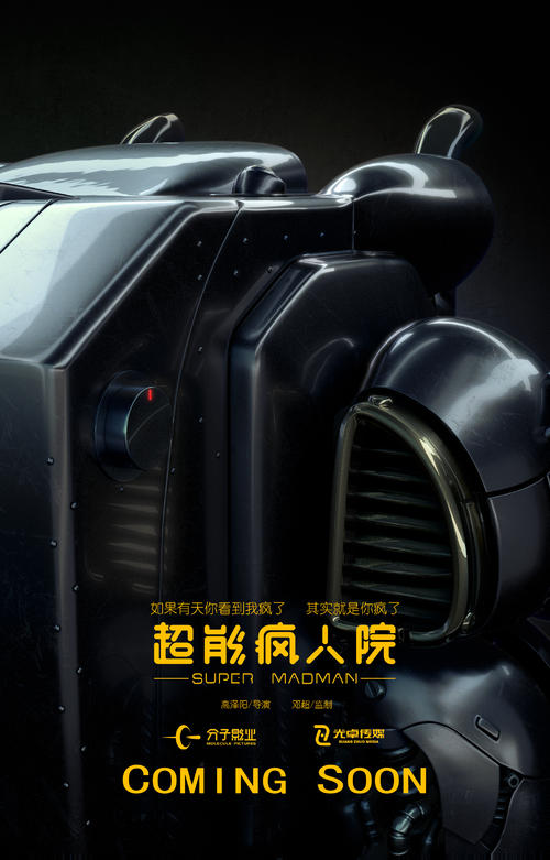 爱达荷州出生证明怎么仿制